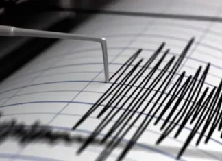 Sirenas, evacuaciones y alerta en celulares; así será el simulacro de sismo