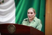 Proponen Fiscalía Especializada contra el maltrato animal y el daño ambiental