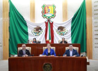Define Congreso metodología para la glosa del Cuarto Informe de Gobierno