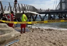 Impacto entre embarcación y ballena en Bahía de Banderas deja una persona fallecida