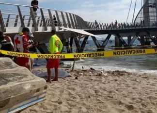 Impacto entre embarcación y ballena en Bahía de Banderas deja una persona fallecida