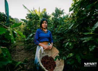 ¡Nayarit tiene un nuevo orgullo!