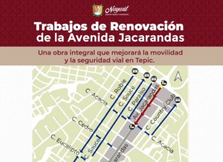CONOCE EL PROYECTO DE AV. JACARANDAS