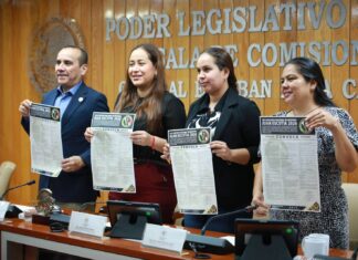 Prepara Congreso mayor defensa legal para víctimas de abuso y violencia vicaria