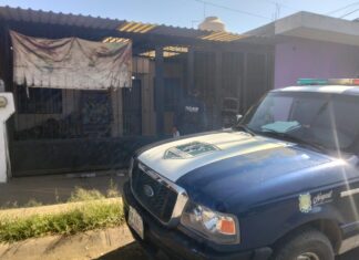 Atiende SSPC y da seguimiento a reporte de presunto maltrato animal en la capital nayarita