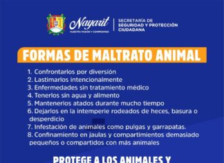 ¡Alto al maltrato animal!