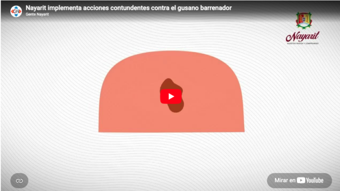 Captura de Pantalla 2026-05-12 a la(s) 1.48.18