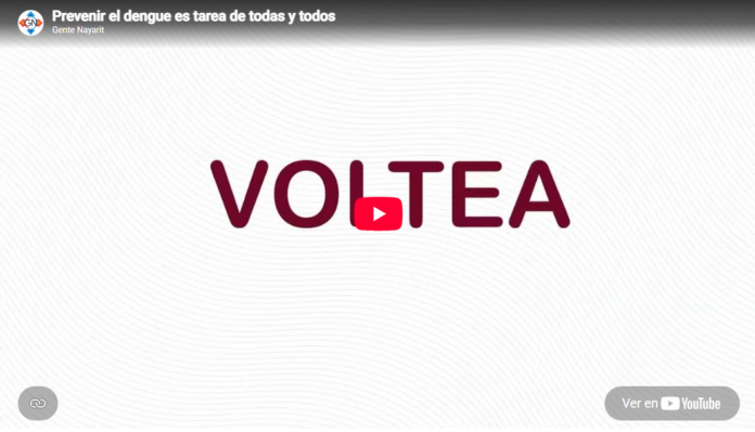 Captura de pantalla 2026-07-15 011439