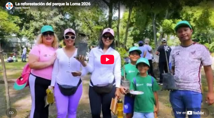 Captura de pantalla 2026-07-15 014629