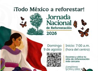 Nayarit se suma a la Jornada Nacional de Reforestación para fortalecer el cuidado del medio ambiente