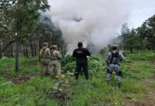 Nayarit fortalece la respuesta institucional por la tranquilidad y bienestar de las familias