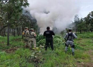 Nayarit fortalece la respuesta institucional por la tranquilidad y bienestar de las familias