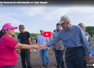 Jornada Nacional de Reforestación, Tepic, Nayarit