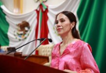 Moderniza Congreso la legislación forestal