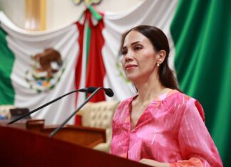 Moderniza Congreso la legislación forestal