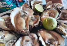 Reabren temporada de pesca de ostión de piedra en Miramar y Santa Cruz