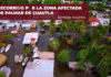 Recorrido por la zona afectada de Palmar de Cuautla en Santiago Ixcuintla